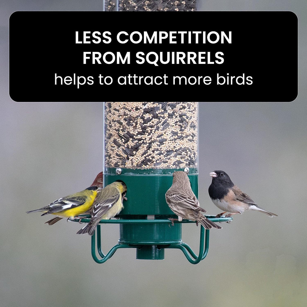 Squirrel-Proof Bird Feeder: spinning with 5 lb seed capacity for wild bird