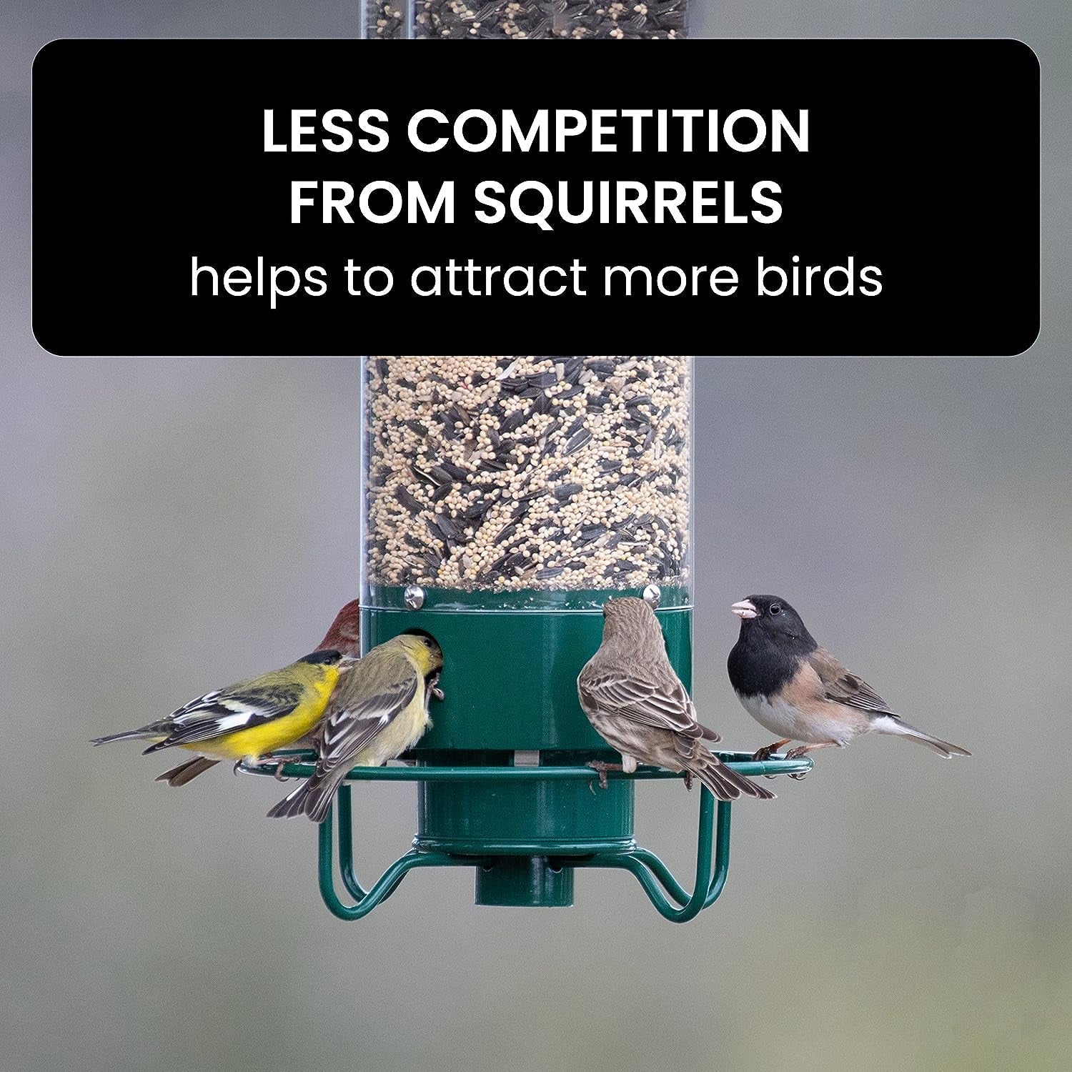 Squirrel-Proof Bird Feeder: spinning with 5 lb seed capacity for wild bird