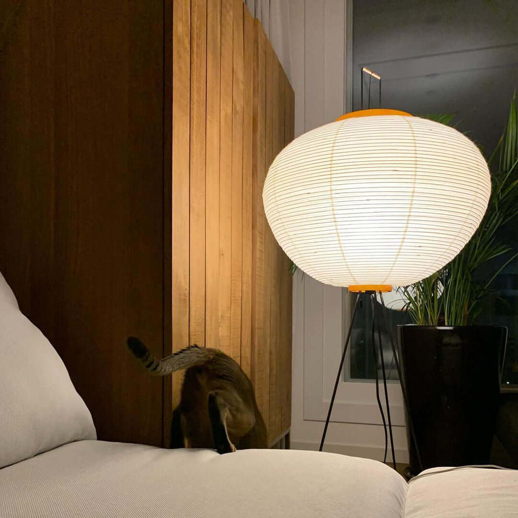 Rice Paper Floor Lamp | Mulberry Paper Shade, Metal Base & Ideal for Indoor Lighting
