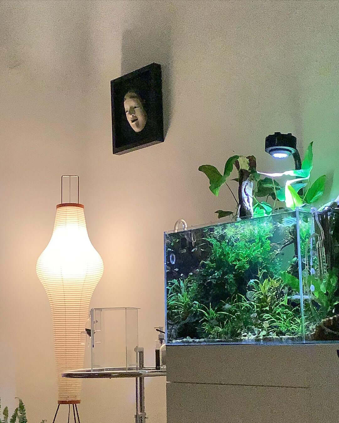 Rice Paper Floor Lamp | Mulberry Paper Shade, Metal Base & Ideal for Indoor Lighting