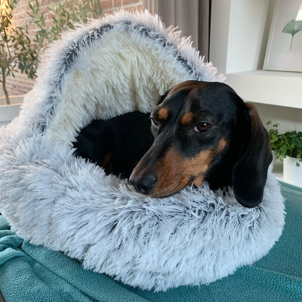 Sack Dog Bed with Roof: Warm, American-Made Cozy Nook for Puppies and Calming Cat Beds