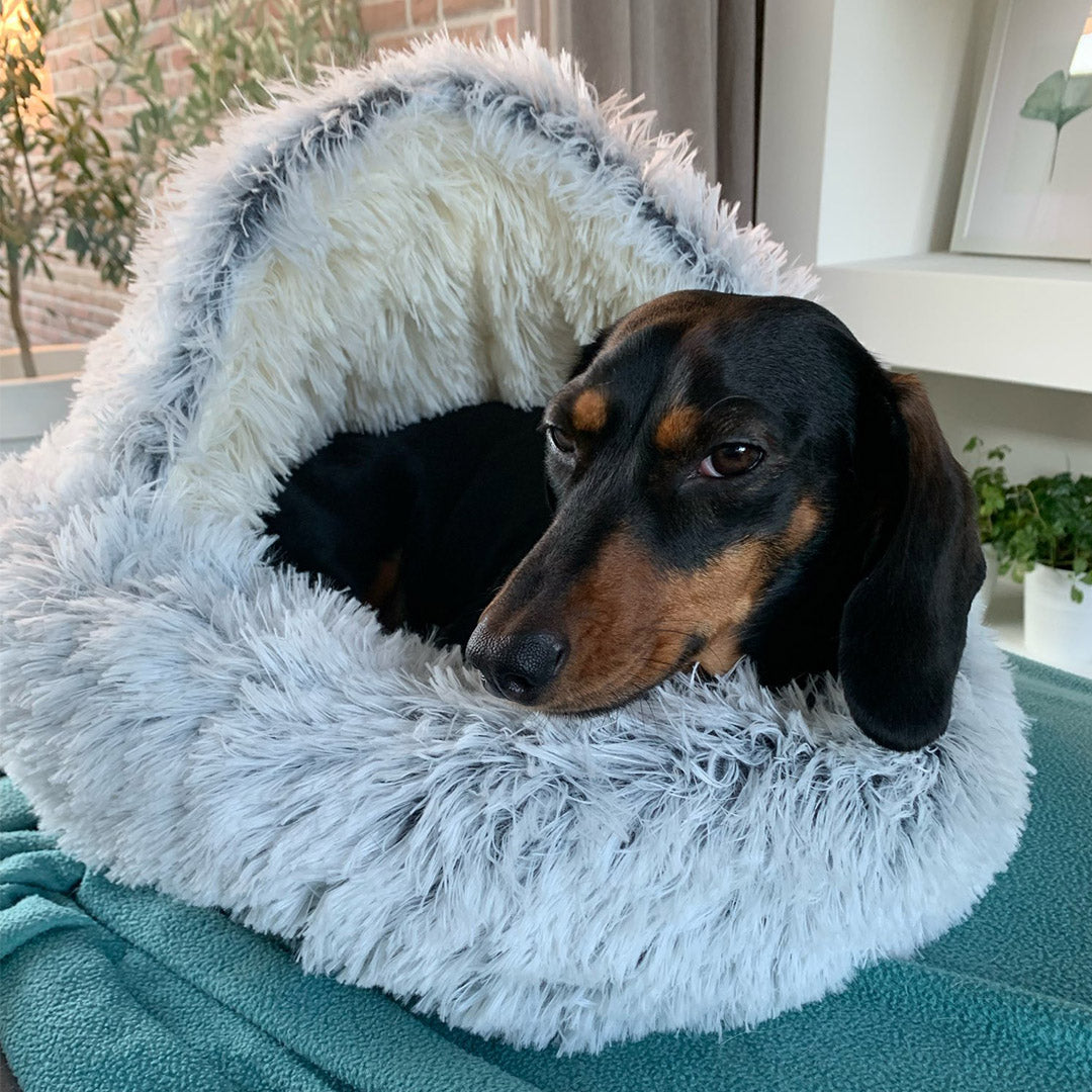 Sack Dog Bed with Roof: Warm, American-Made Cozy Nook for Puppies and Calming Cat Beds