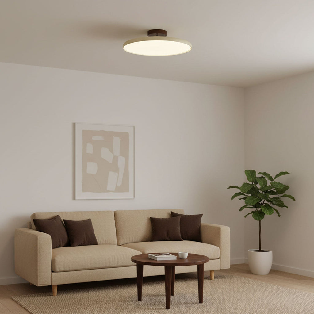 Adjustable LED Ceiling Lamp | Customizable Ambient Lighting for Indoor Spaces, Sloped Ceiling Compatible