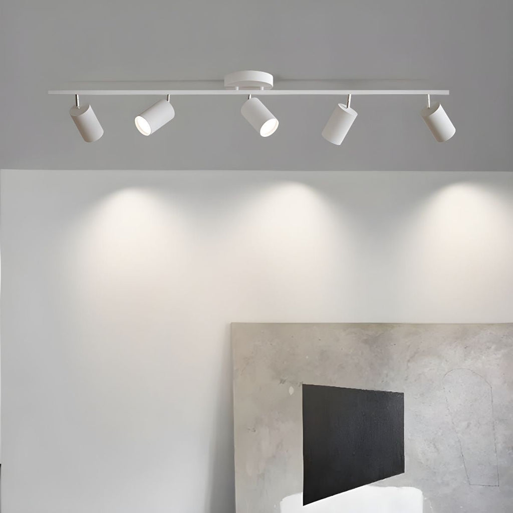 LED Ceiling Light | Adjustable Spotlight Heads with Gold Accents for Living Spaces and Galleries
