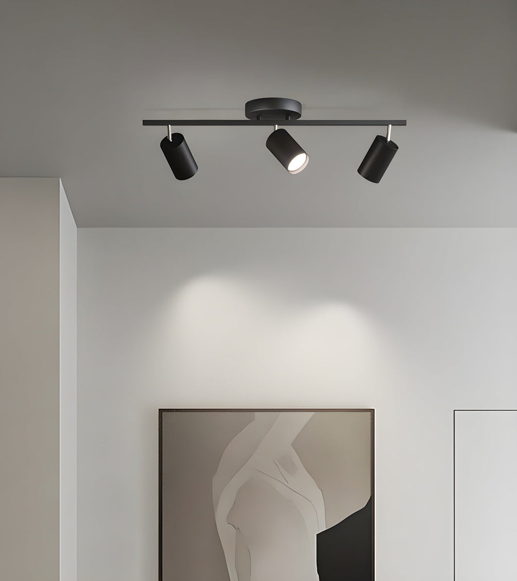LED Ceiling Light | Adjustable Spotlight Heads with Gold Accents for Living Spaces and Galleries