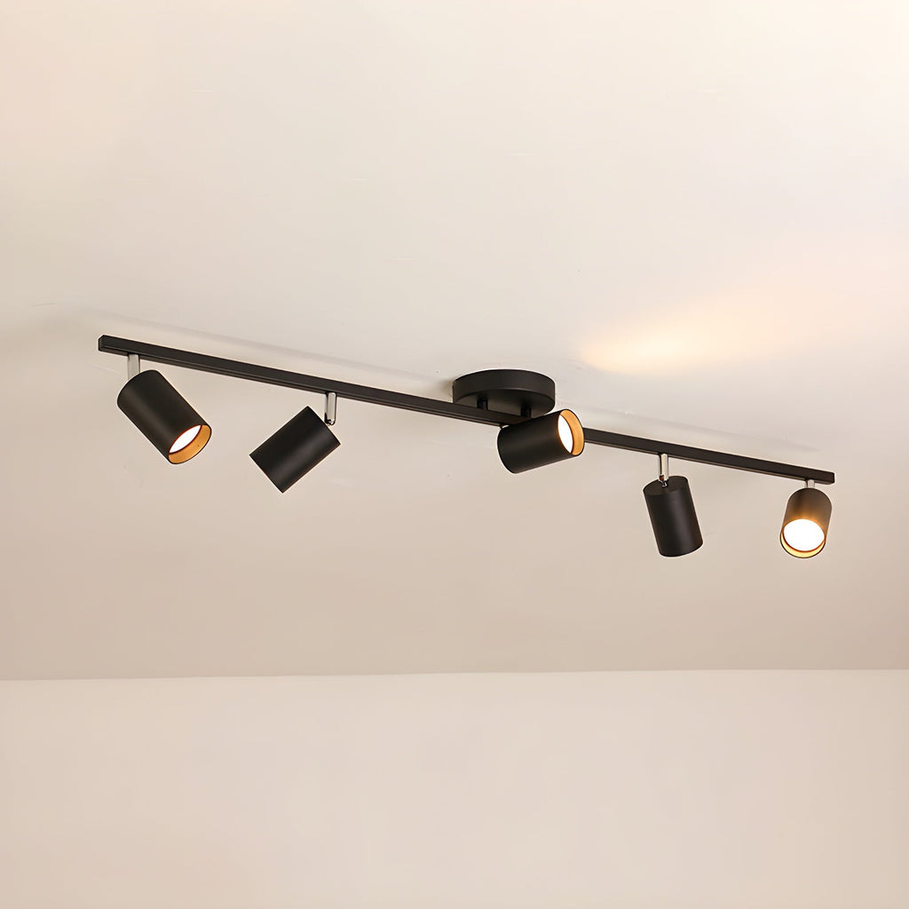 LED Ceiling Light | Adjustable Spotlight Heads with Gold Accents for Living Spaces and Galleries