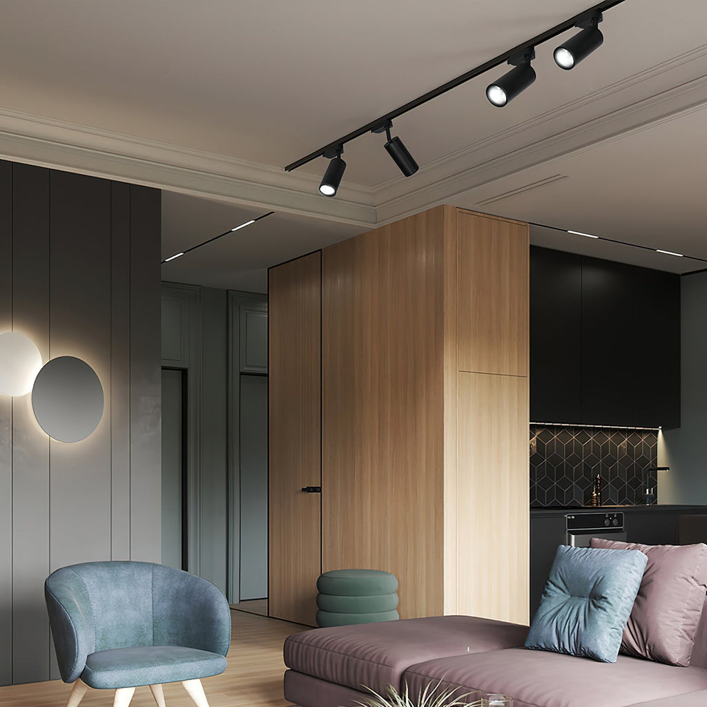 Gilded Rail Track Light | Sleek Gunmetal Black with Golden Cylindrical Heads for Indoor Modern & Industrial Decor