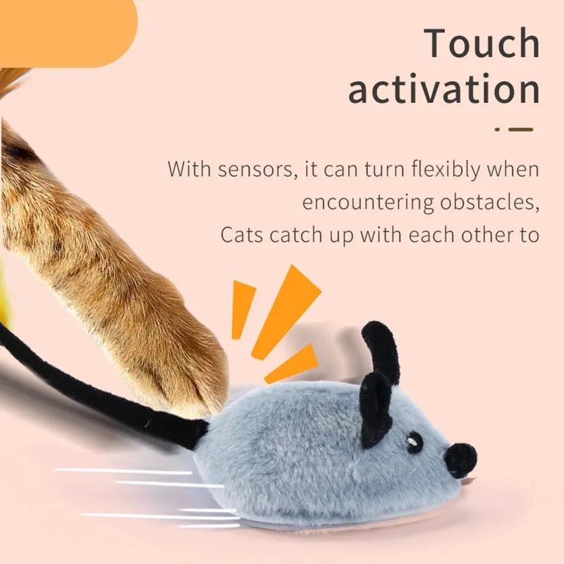 Interactive Cat Toy | Durable, Safe & Engaging for Active Play and Mental Stimulation