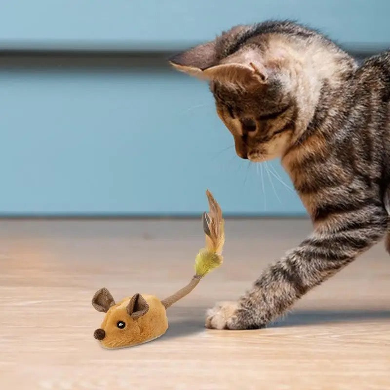 Interactive Cat Toy | Durable, Safe & Engaging for Active Play and Mental Stimulation