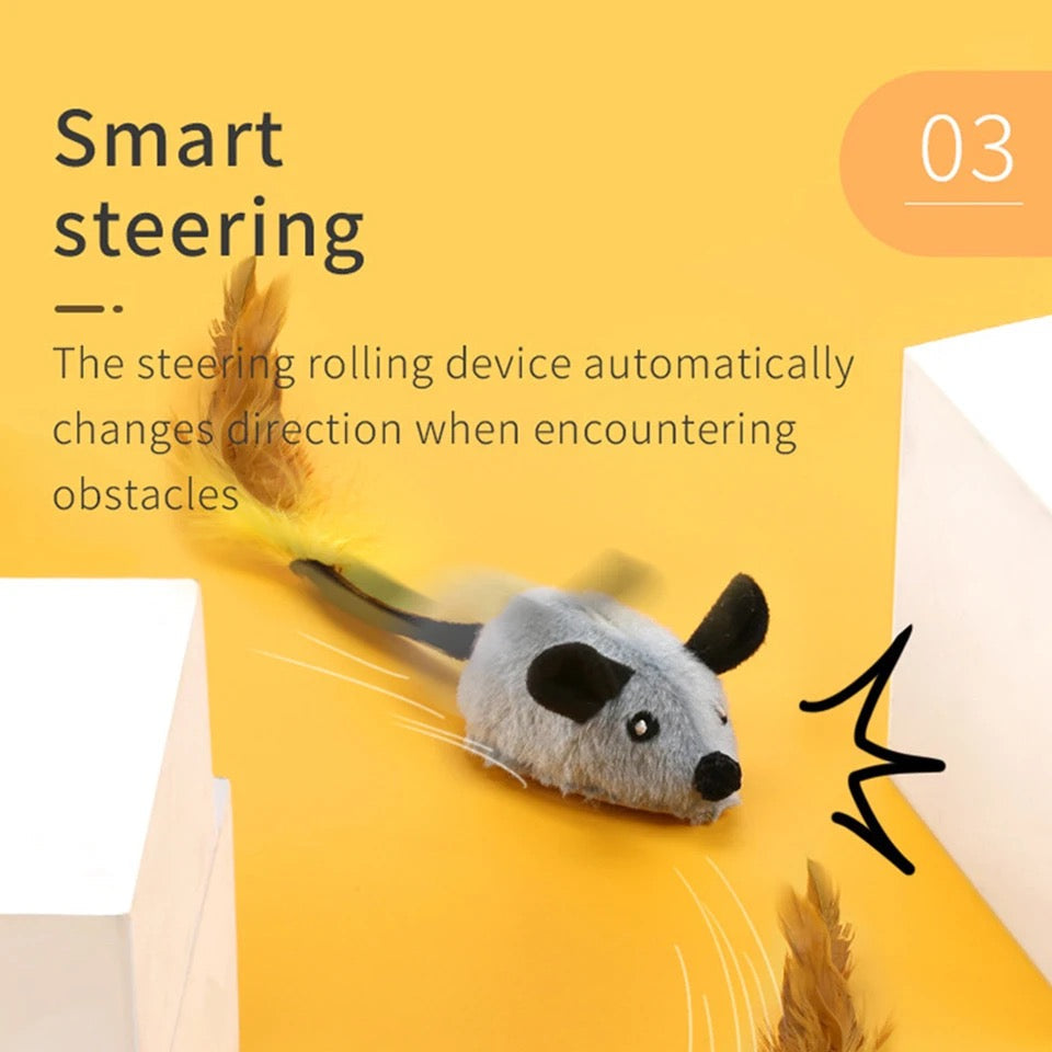 Interactive Cat Toy | Durable, Safe & Engaging for Active Play and Mental Stimulation