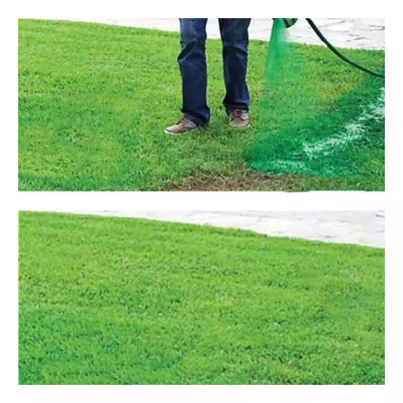 Liquid Lawn Seed Spray