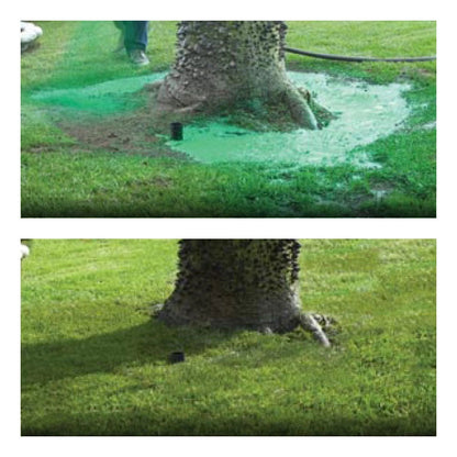 Liquid Lawn Seed Spray