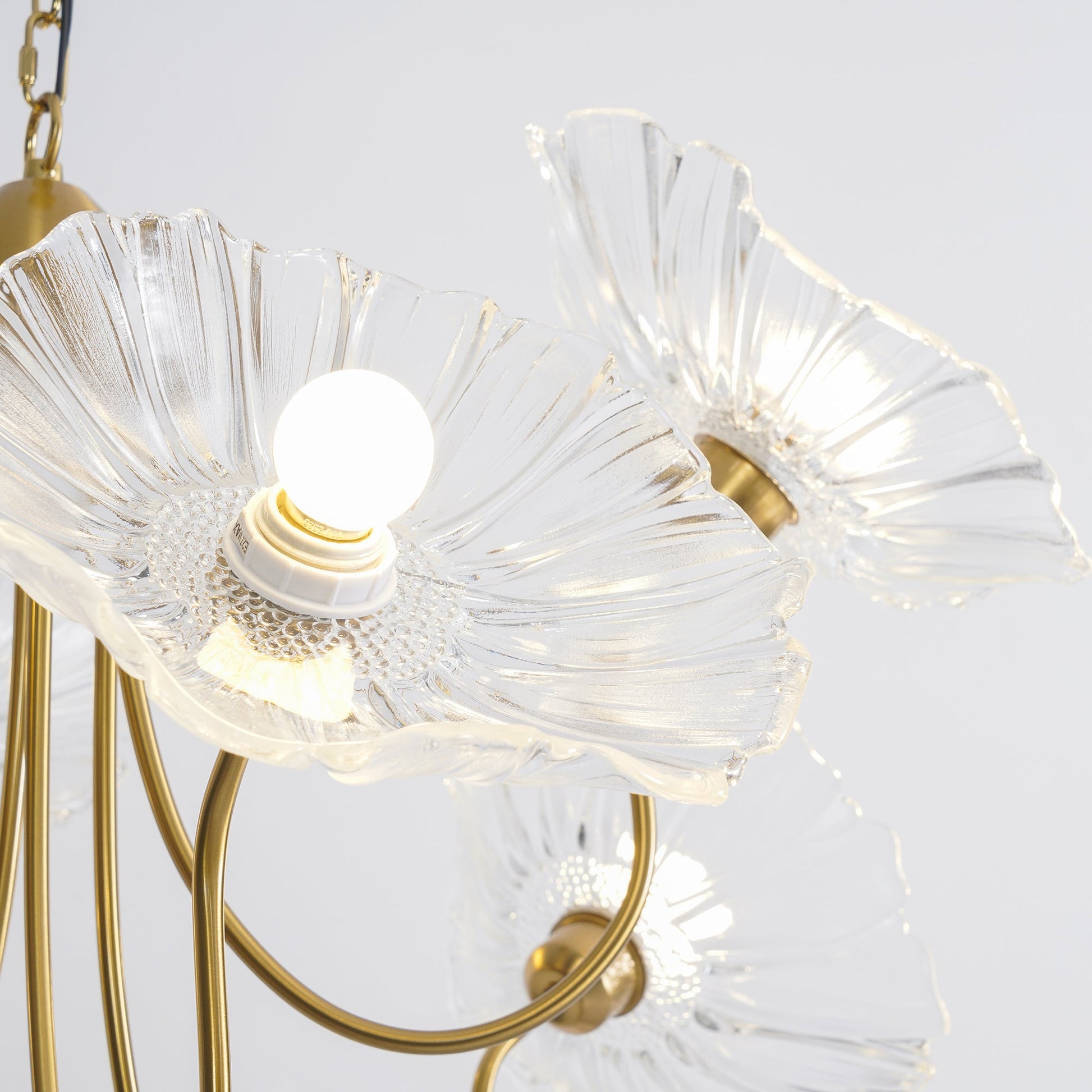 Lotus Leaf Glass Chandelier | Frosted Glass, Gold Finish & Ideal for Indoor Lighting