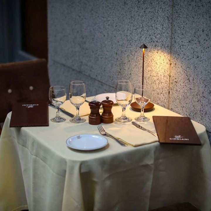 Minimalist LED Table Lamp – Dimmable Cordless Rechargeable Touch Lamp with 13H Battery, Warm 2700K Light, Indoor & Outdoor Aluminum Design