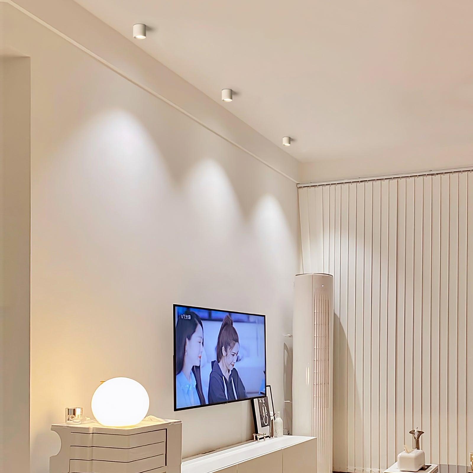 Modern LED Ceiling Light | Dimmable, Rugged Metal & Acrylic for Indoor Use, Available in Warm, Neutral, and Cool Light