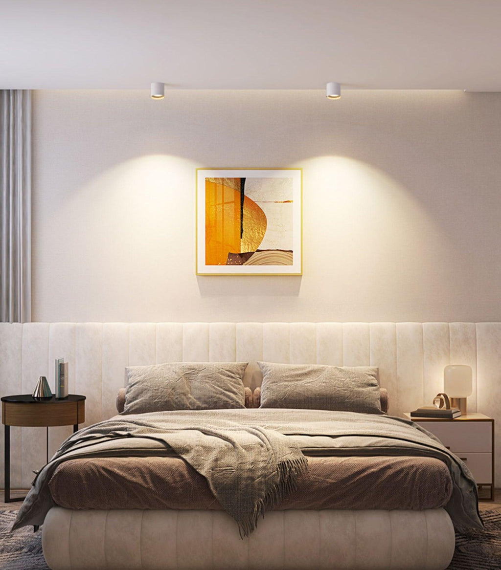 Modern LED Ceiling Light | Dimmable, Rugged Metal & Acrylic for Indoor Use, Available in Warm, Neutral, and Cool Light