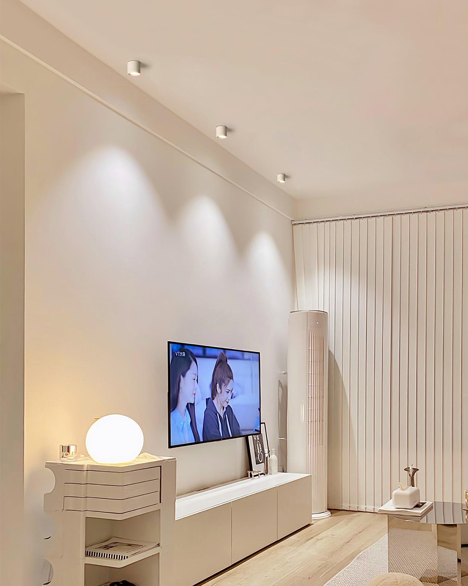 Modern LED Ceiling Light | Dimmable, Rugged Metal & Acrylic for Indoor Use, Available in Warm, Neutral, and Cool Light