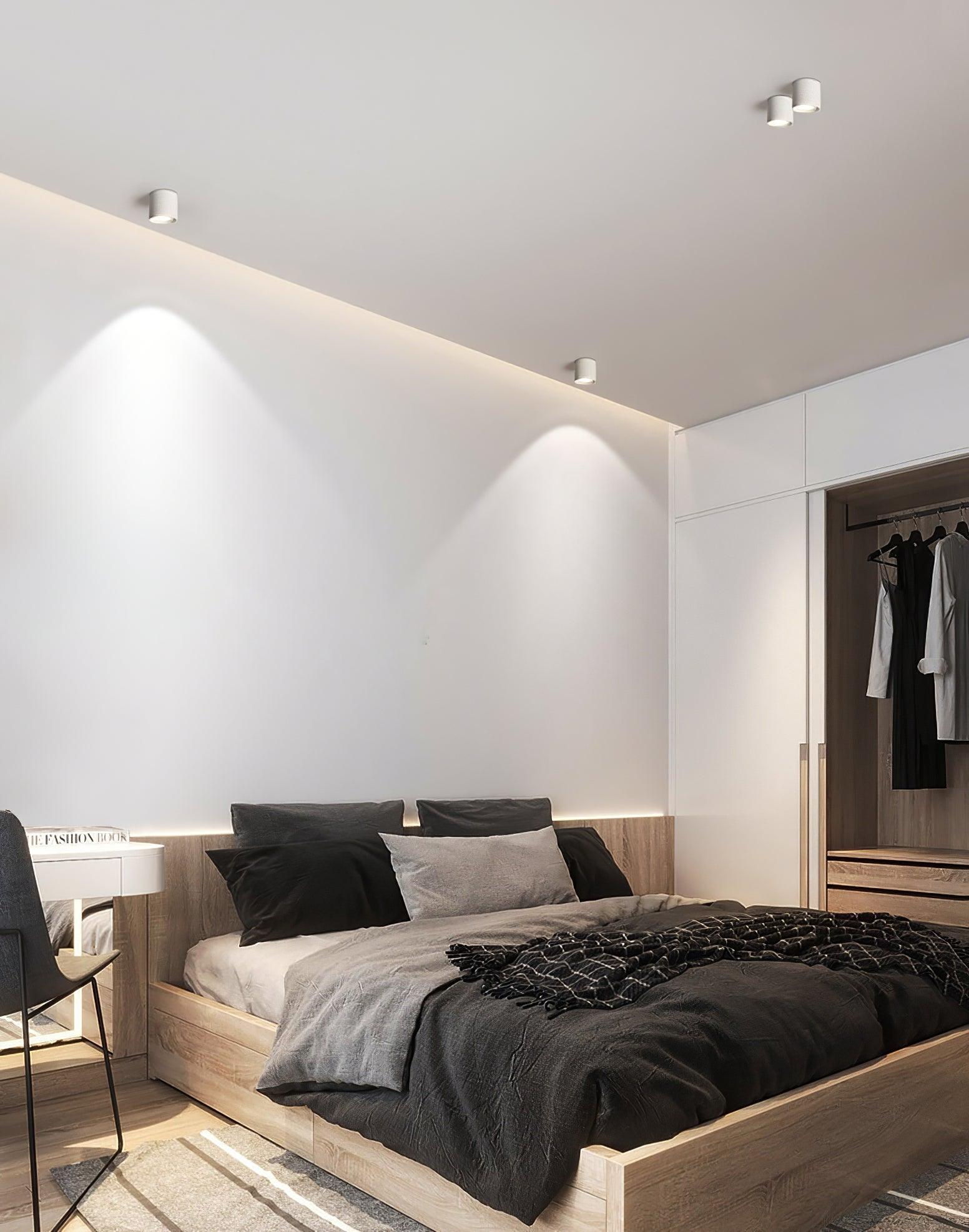 Modern LED Ceiling Light | Dimmable, Rugged Metal & Acrylic for Indoor Use, Available in Warm, Neutral, and Cool Light