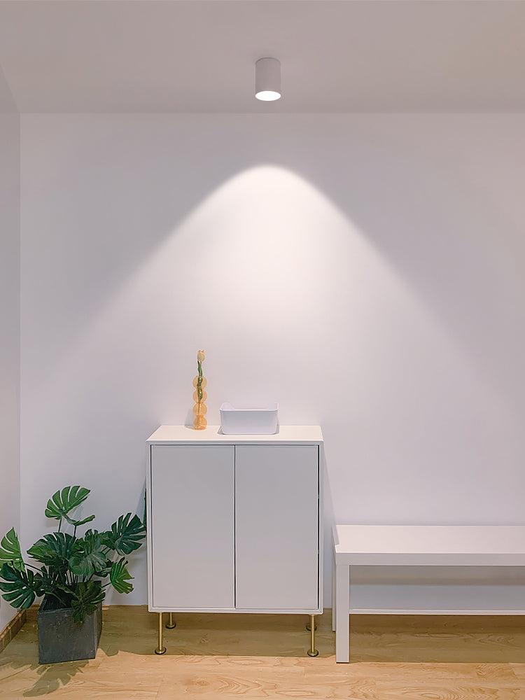 Modern LED Ceiling Light | Dimmable, Rugged Metal & Acrylic for Indoor Use, Available in Warm, Neutral, and Cool Light