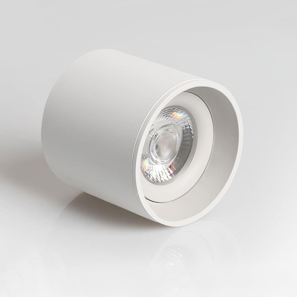 Modern LED Ceiling Light | Dimmable, Rugged Metal & Acrylic for Indoor Use, Available in Warm, Neutral, and Cool Light