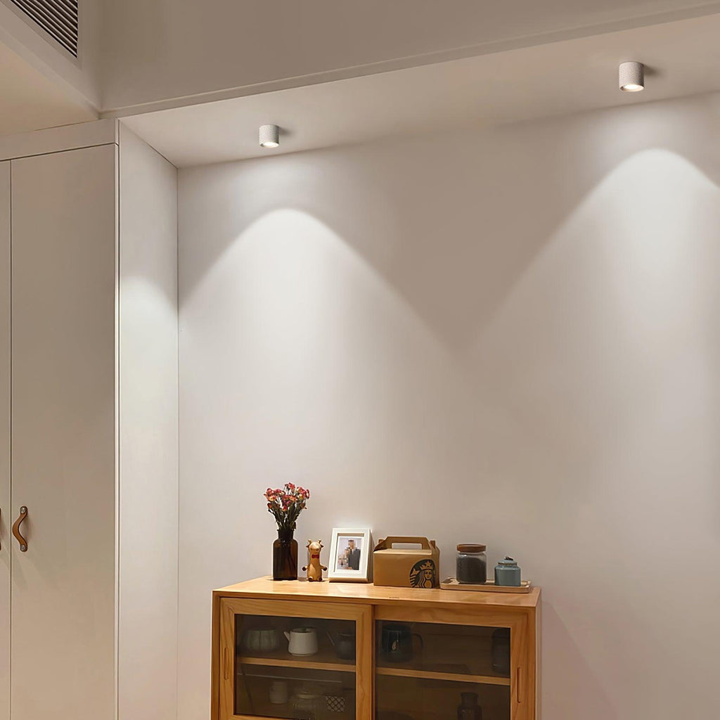 Modern LED Ceiling Light | Dimmable, Rugged Metal & Acrylic for Indoor Use, Available in Warm, Neutral, and Cool Light