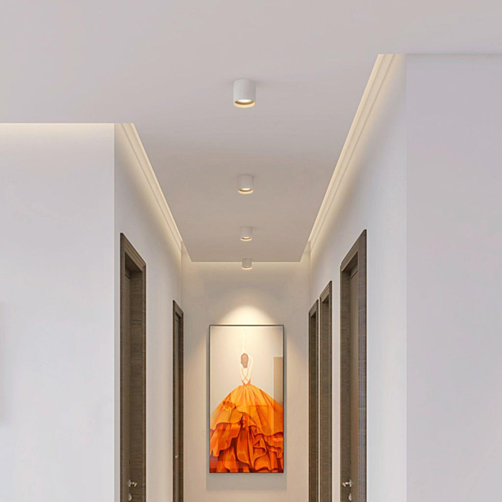 Modern LED Ceiling Light | Dimmable, Rugged Metal & Acrylic for Indoor Use, Available in Warm, Neutral, and Cool Light