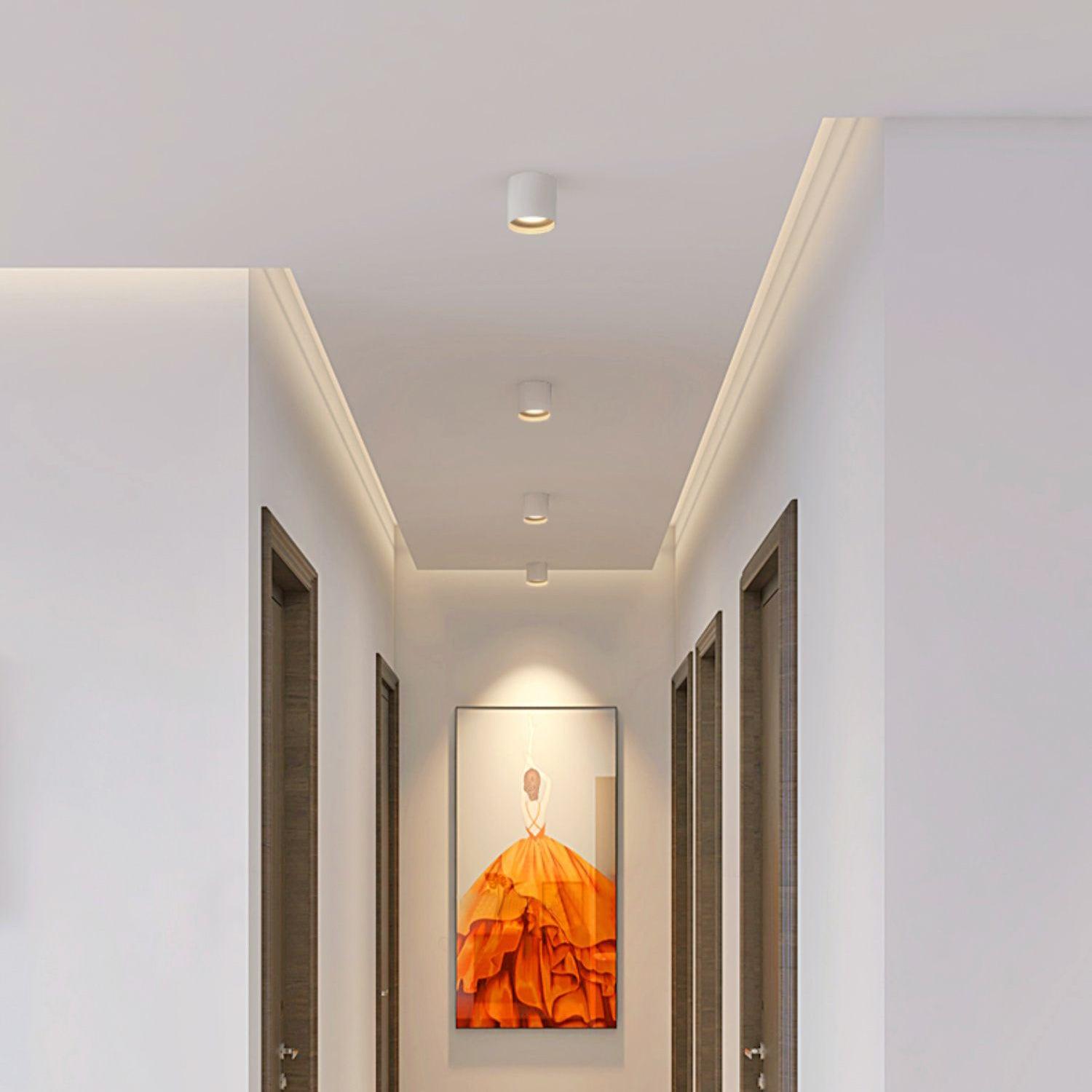 Modern LED Ceiling Light | Dimmable, Rugged Metal & Acrylic for Indoor Use, Available in Warm, Neutral, and Cool Light