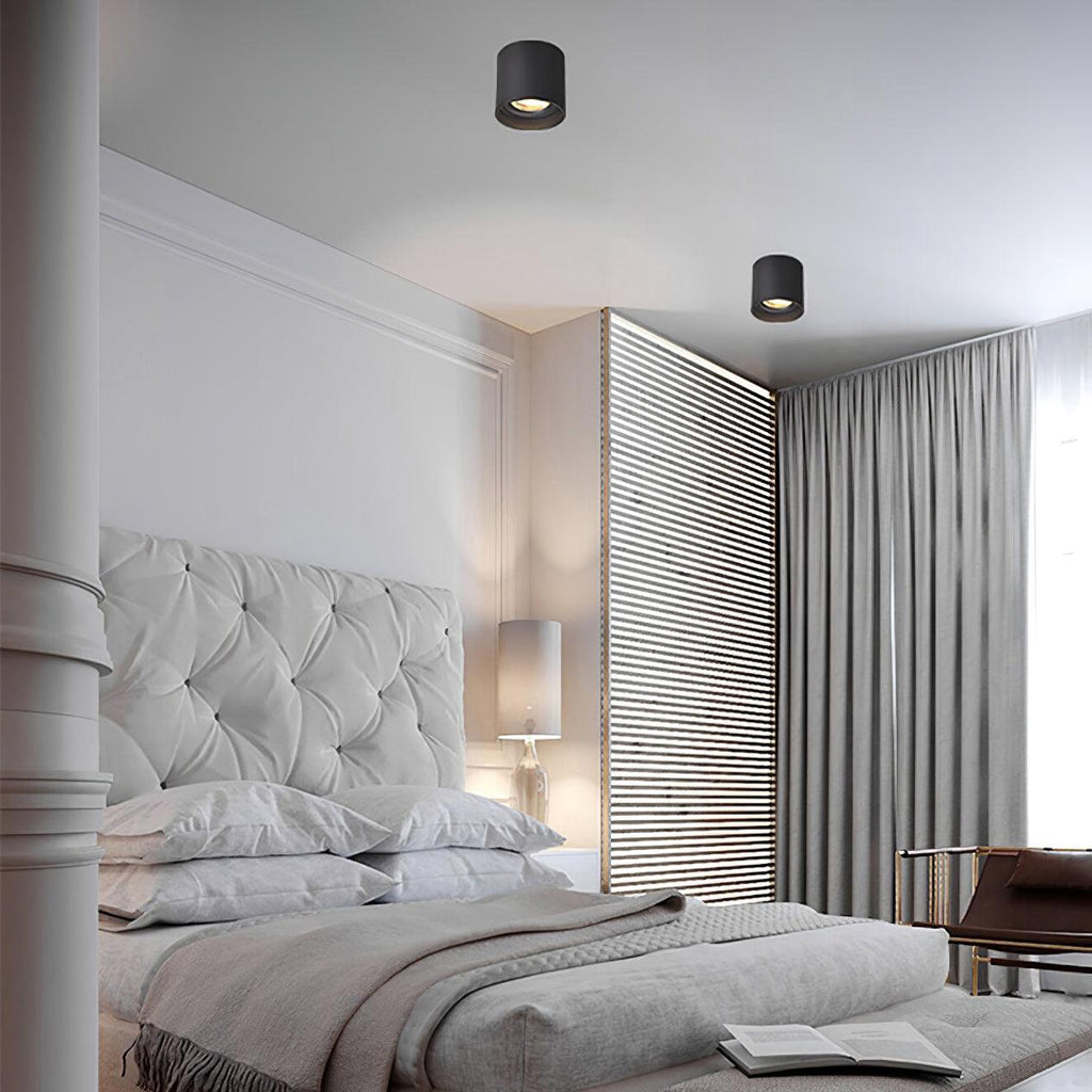 Modern LED Ceiling Light | Dimmable, Rugged Metal & Acrylic for Indoor Use, Available in Warm, Neutral, and Cool Light