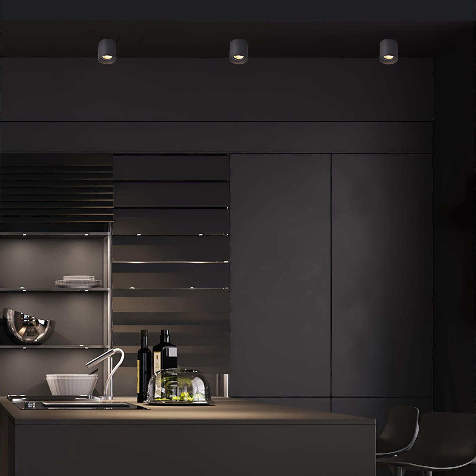 Modern LED Ceiling Light | Dimmable, Rugged Metal & Acrylic for Indoor Use, Available in Warm, Neutral, and Cool Light