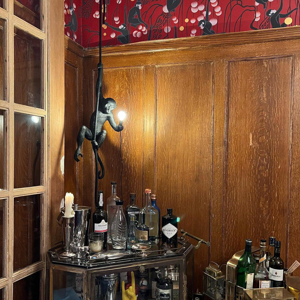 Monkey Pendant Lamp | Glossy Resin, Indoor Use & Perfect for Ambient Lighting