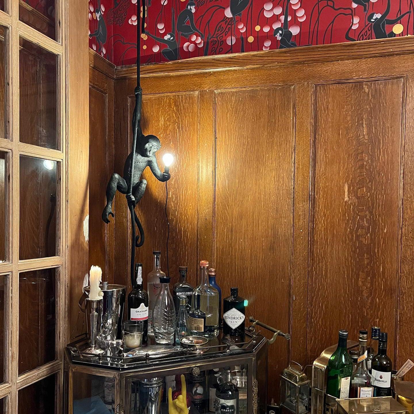 Monkey Pendant Lamp | Glossy Resin, Indoor Use & Perfect for Ambient Lighting