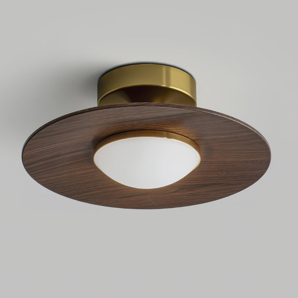 LED Ceiling Lamp - Modern Round Fixture with Adjustable Brightness for Living Room & Bedroom Lighting