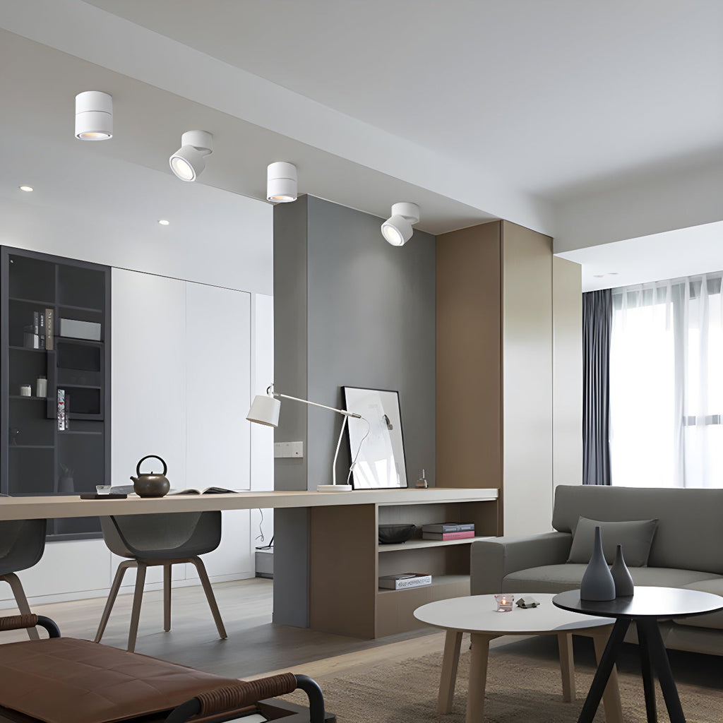 Rotatable Spotlight Ceiling Light | Adjustable Heads, 24° Beam Angle & Ideal for Highlighting Artwork Indoors