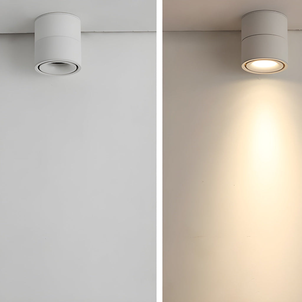 Rotatable Spotlight Ceiling Light | Adjustable Heads, 24° Beam Angle & Ideal for Highlighting Artwork Indoors