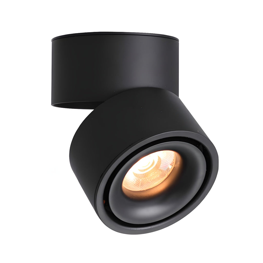 Rotatable Spotlight Ceiling Light | Adjustable Heads, 24° Beam Angle & Ideal for Highlighting Artwork Indoors