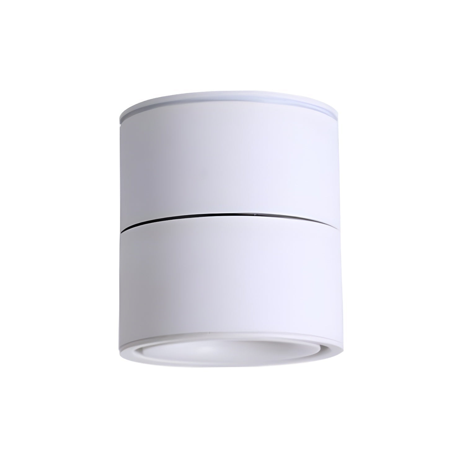 Rotatable Spotlight Ceiling Light | Adjustable Heads, 24° Beam Angle & Ideal for Highlighting Artwork Indoors