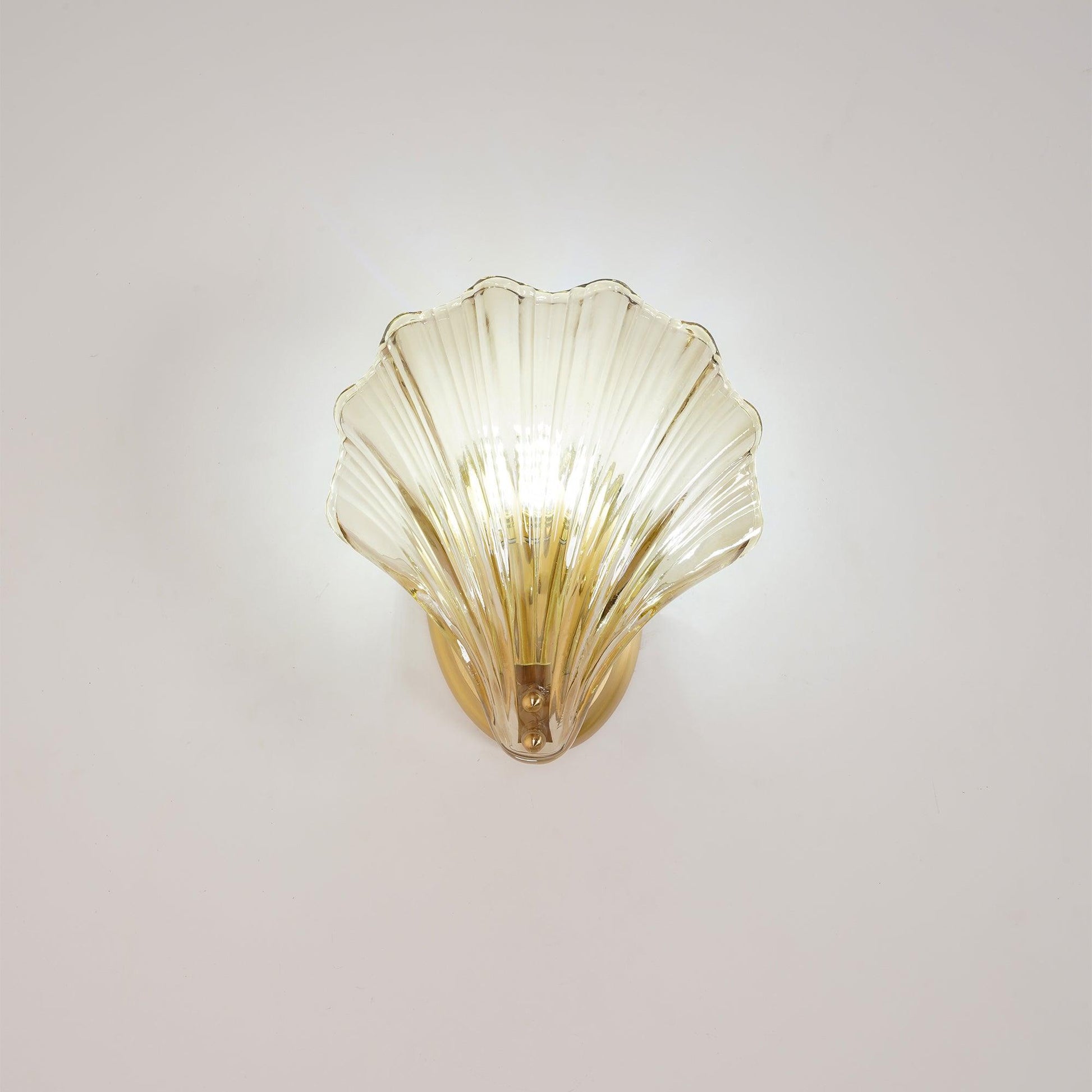 Shell Wall Light | Brass Finish, Amber & Clear Shade | Ideal for Indoor Spaces