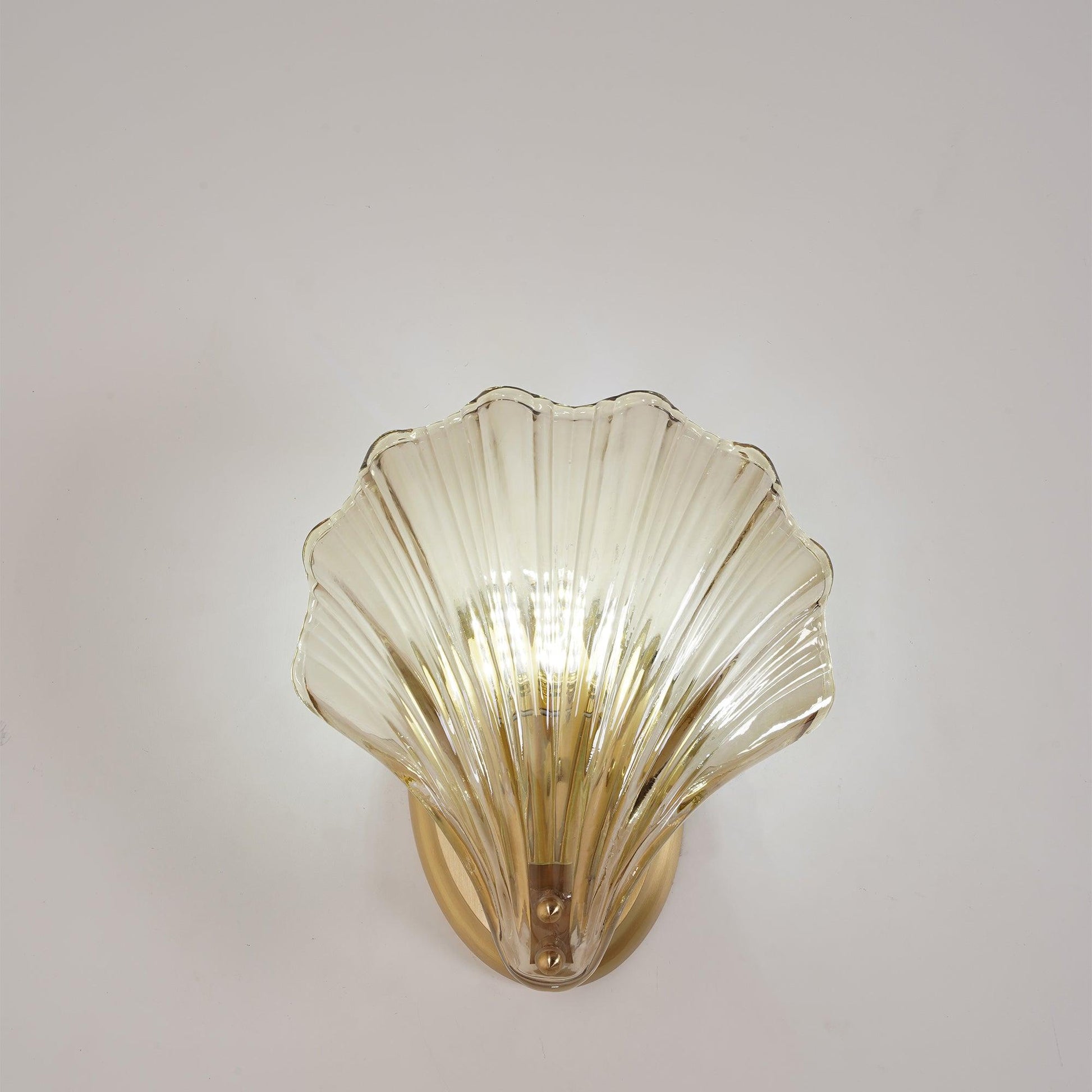 Shell Wall Light | Brass Finish, Amber & Clear Shade | Ideal for Indoor Spaces