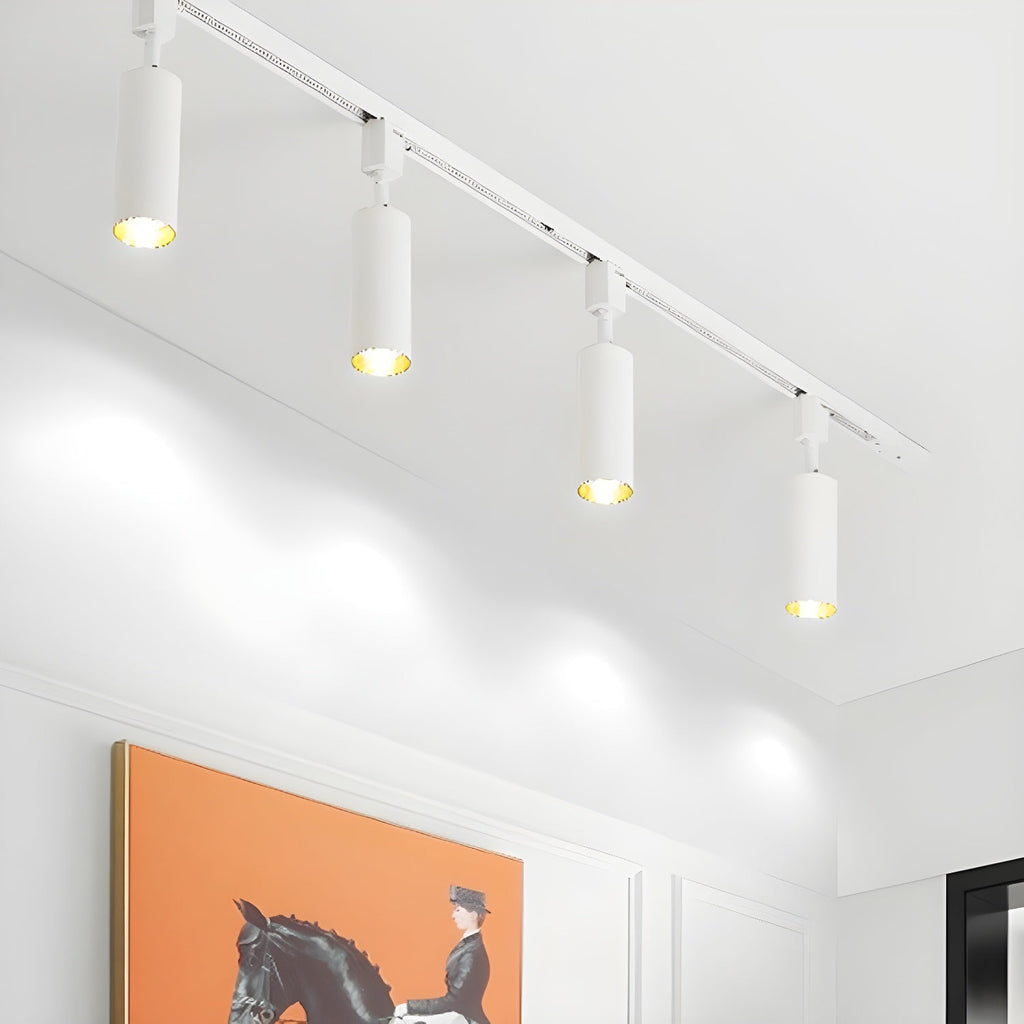 Sleek Cylinder Track Light | Dimmable, 30° Beam Angle & Ideal for Modern Indoor Spaces
