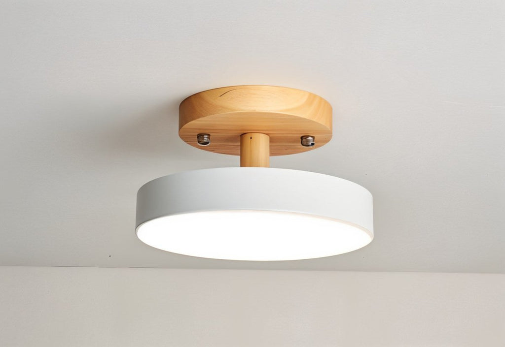 Modern LED Ceiling Light | Adjustable Brightness, Energy-Saving & Ideal for Living Room or Dining Area