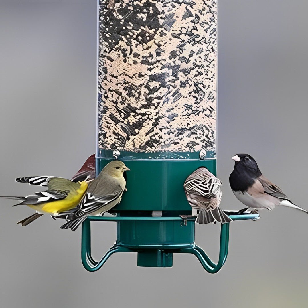 Squirrel-Proof Bird Feeder: spinning with 5 lb seed capacity for wild bird
