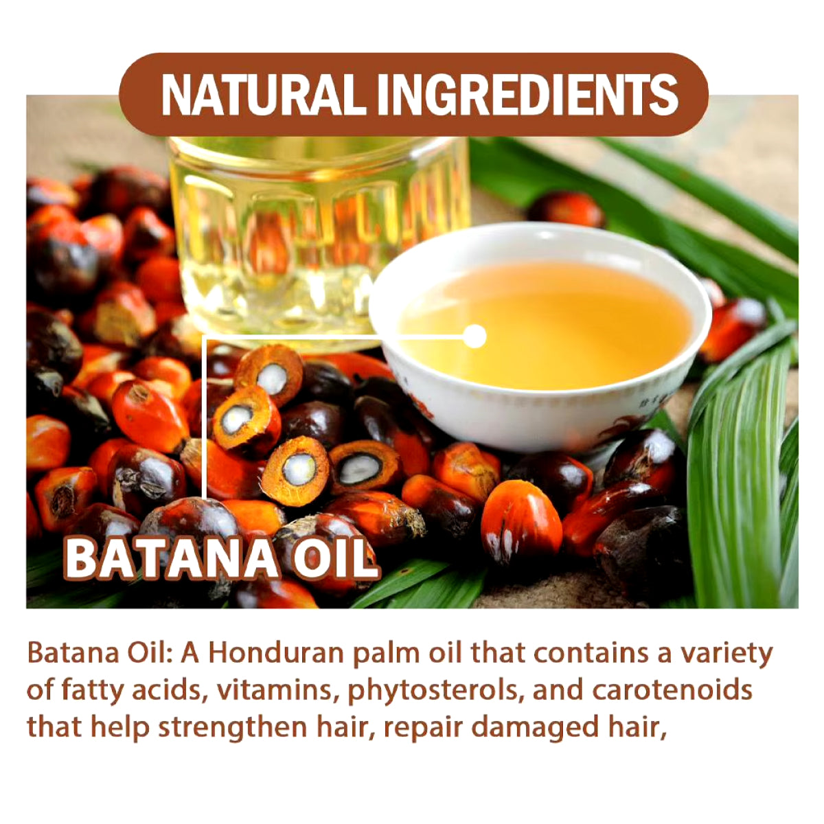 Organic Batana Oil for Hair Growth - Prevent Hair Loss & Promote Healthy Hair | Raw Batana Oil