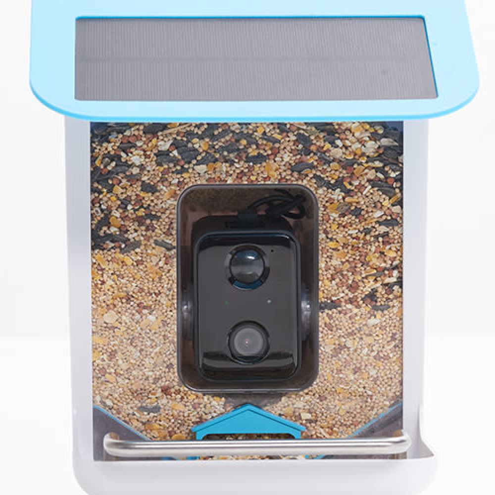 Bird Feeder with camera - High-Resolution Video & for Backyard Birds