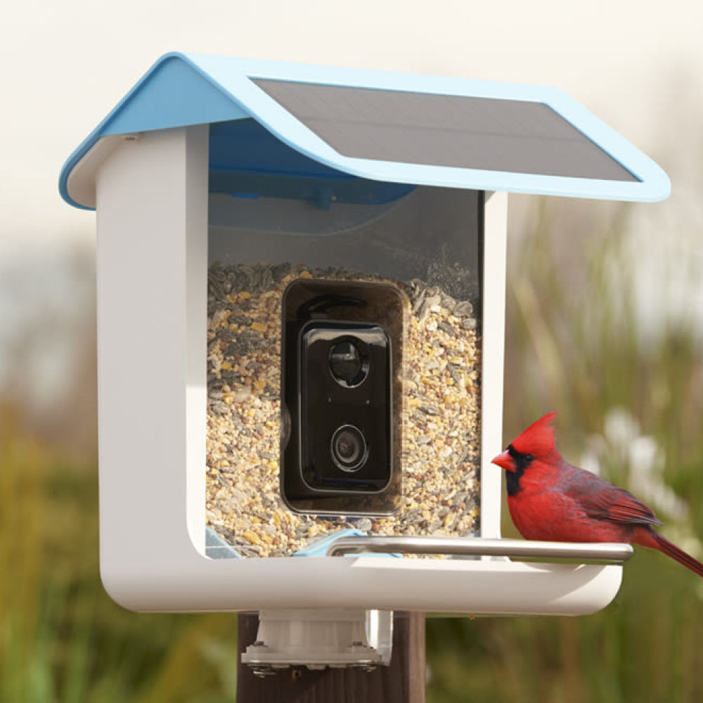 Bird Feeder with camera - High-Resolution Video & for Backyard Birds