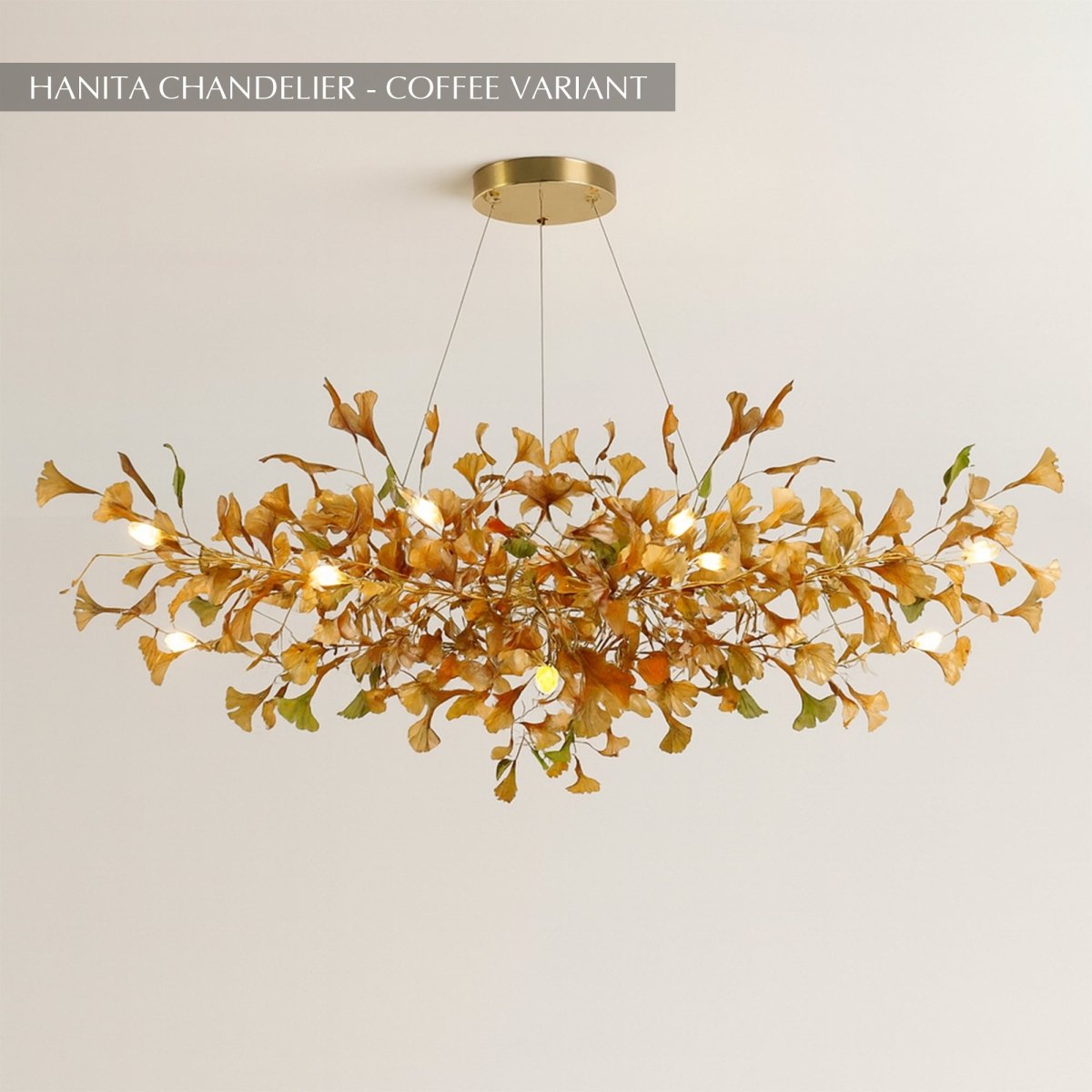 Modern Copper and Glass Chandelier | Adjustable Height, LED Illumination for Home Decor and Contemporary Spaces