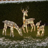 Image of 3 Pc Lighted Deer Family Outdoor Christmas, Winter Decoration for Front Yards
