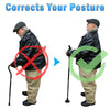 Image of Posture Cane