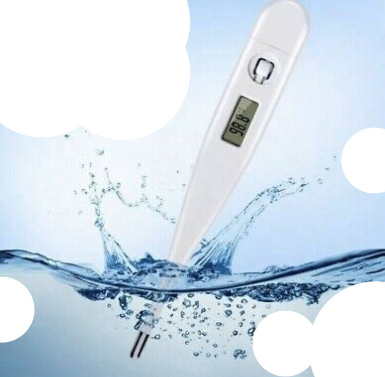 Digital Fever Thermometer for Adults & Kids