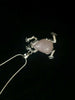 Image of Rose Quartz Frog Necklace Gemstone Pendant