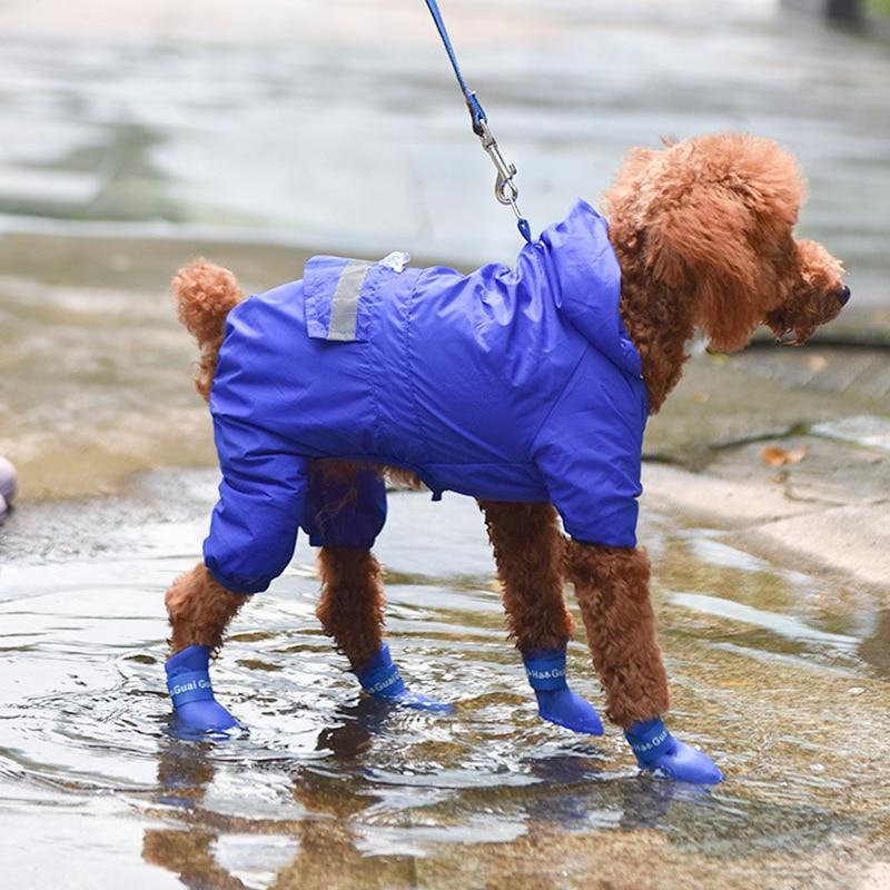 Dog Rain Boots